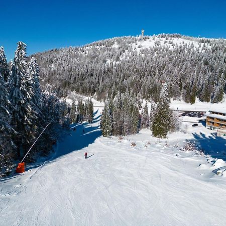 Haus Wiesenquelle, Deluxe-Apartment 'Feld & Berg' Feldberg  Exteriér fotografie