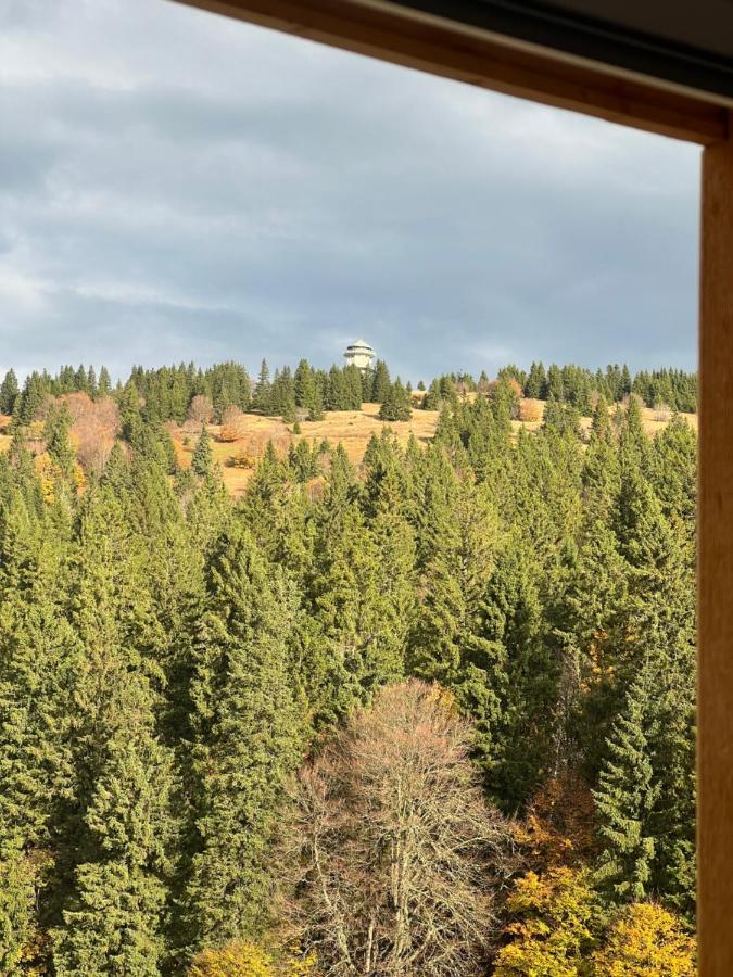 Haus Wiesenquelle, Deluxe-Apartment 'Feld & Berg' Feldberg  Exteriér fotografie