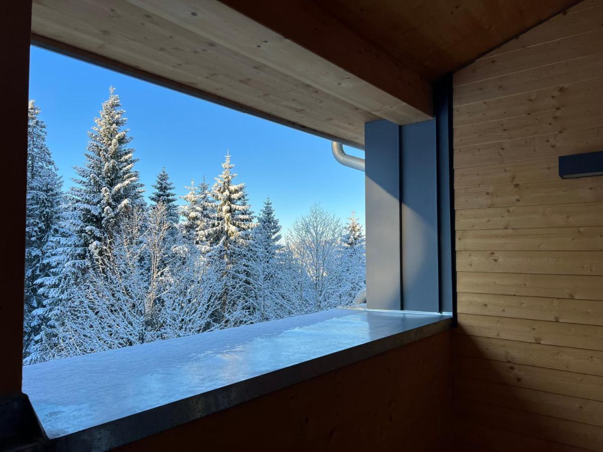 Haus Wiesenquelle, Deluxe-Apartment 'Feld & Berg' Feldberg  Exteriér fotografie